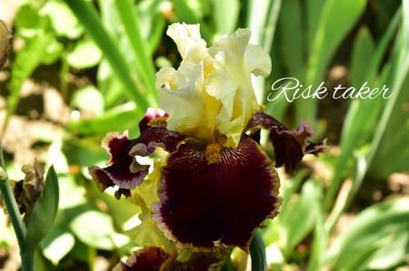 AddText_06-05-09.23.39