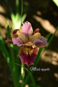 AddText_06-02-09.34.46