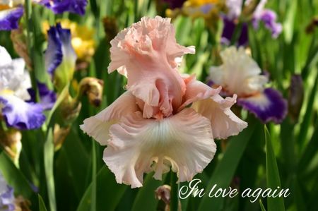 AddText_05-31-05.42.59