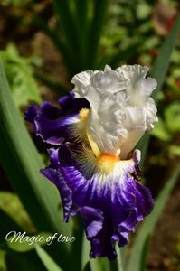 AddText_05-31-04.33.29