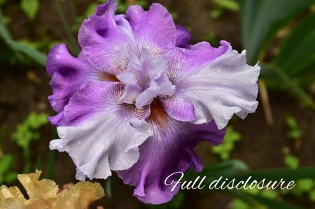 AddText_05-30-08.40.50