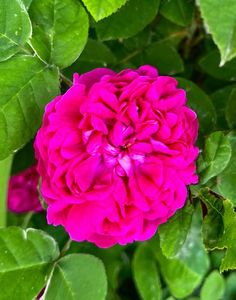 69C460AC-0EE6-459B-8179-5B145427D38A