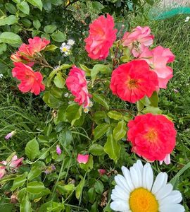 8A3CFDB0-D1CB-4492-8C30-EB2423FA4EB8