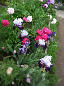 ©; P3340417 ©
