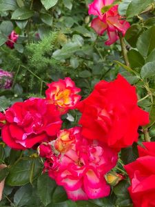 876563E3-4DBE-41E8-BAA2-CB1096DF05B1