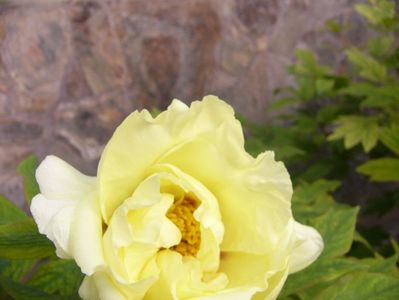 P1380898