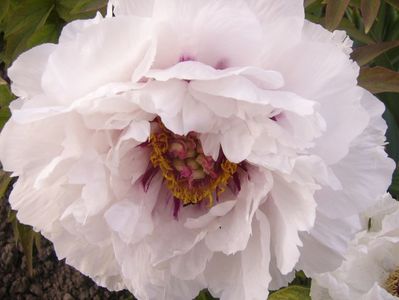 P1390008