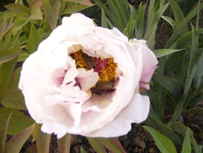 P1390009