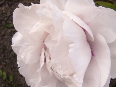 P1390010