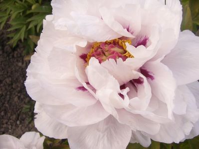 P1390012