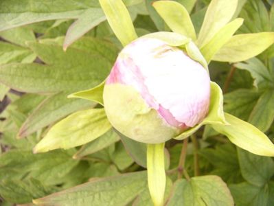 P1390013