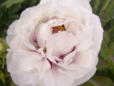 P1390015