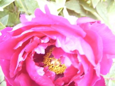 P1390028