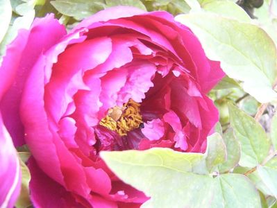 P1390033