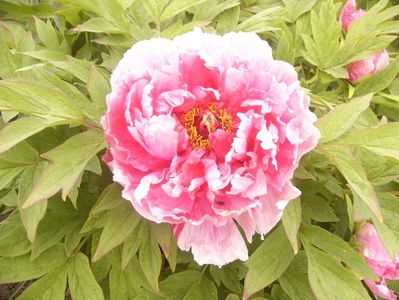 P1390043