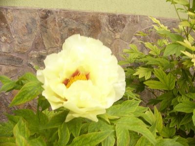 P1390048