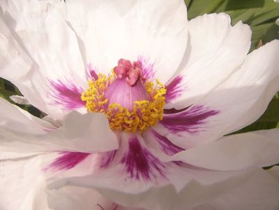 P1390053
