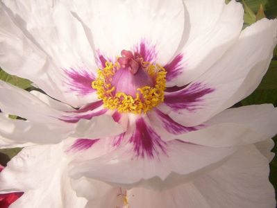 P1390054