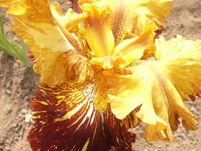 P1390055