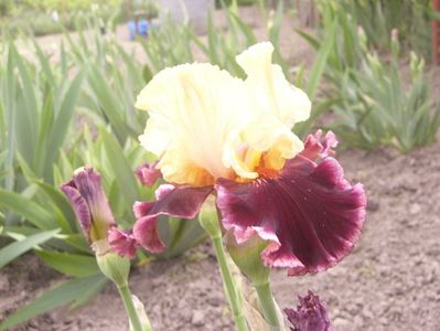 P1390059