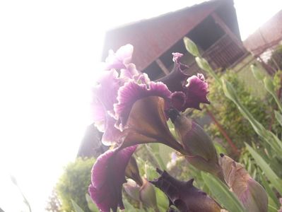 P1390064