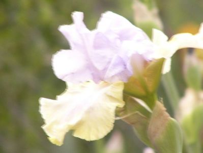 P1390065