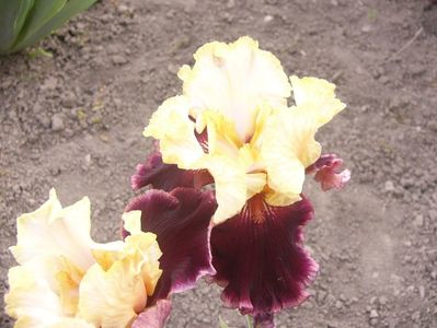 P1390067