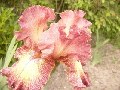 P1390079