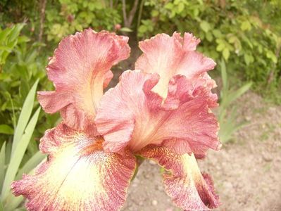 P1390080