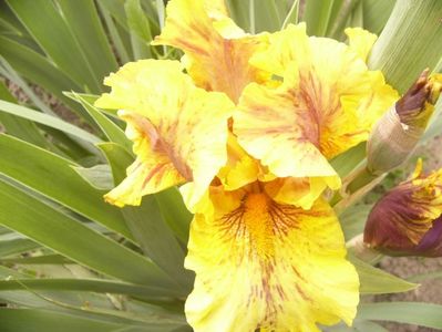 P1390083