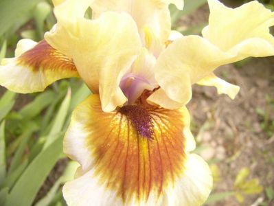 P1390084