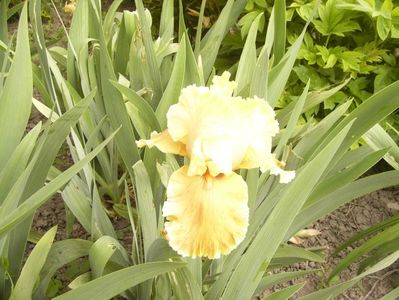 P1390087