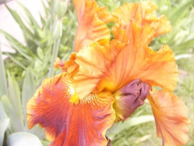 P1390113