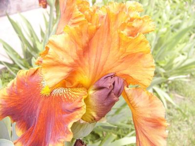 P1390116