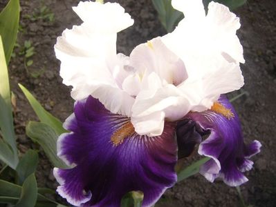 P1390133
