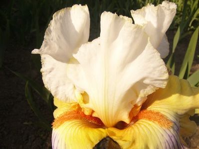 P1390144
