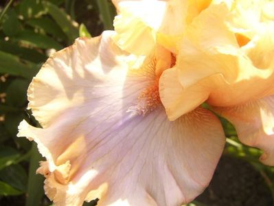 P1390155