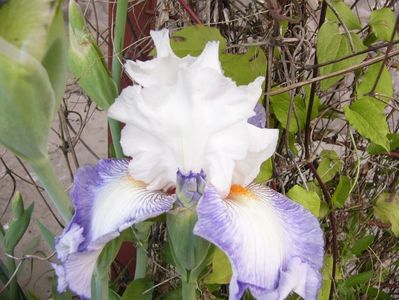 P1390202
