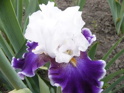 P1390203