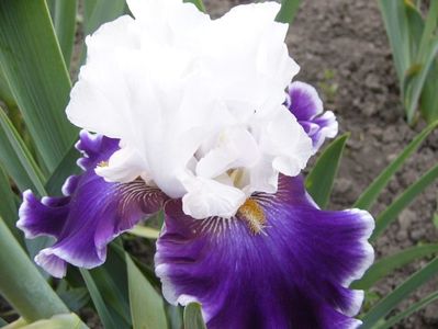 P1390205