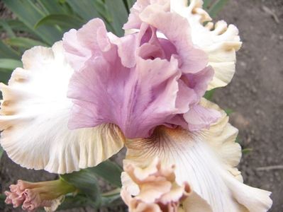P1390206