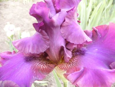 P1390210