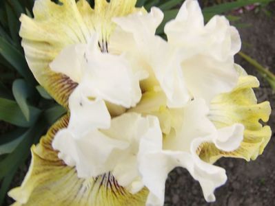 P1390216