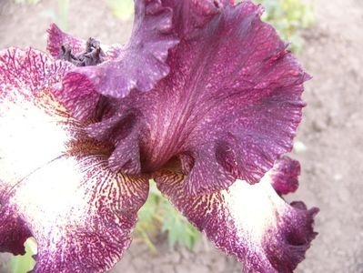 P1390232