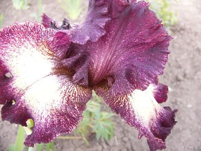 P1390233