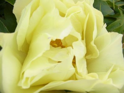 P1390253