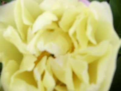P1390256