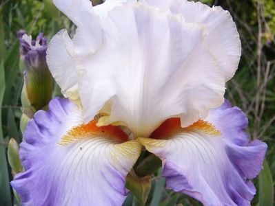 P1390269