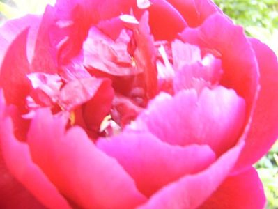 P1390280