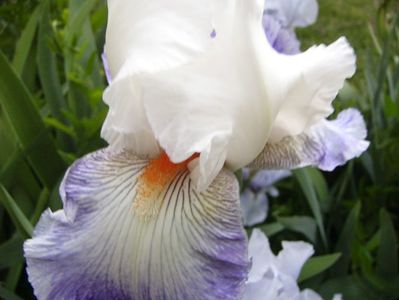 P1390281